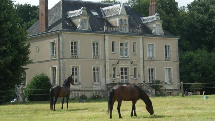 Готель Domaine De Bel Air Cerans-Foulletourte Екстер'єр фото
